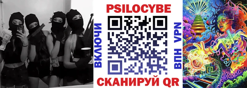 KRAKEN вход  сколько стоит  Холм  Галлюциногенные грибы прущие грибы 