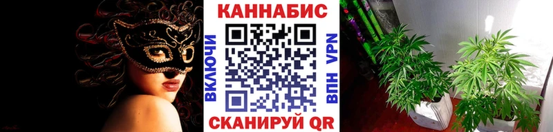 Канабис гибрид  Холм 